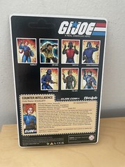 Scarlett Haslab SkyStriker Sky Striker GI Joe MOC