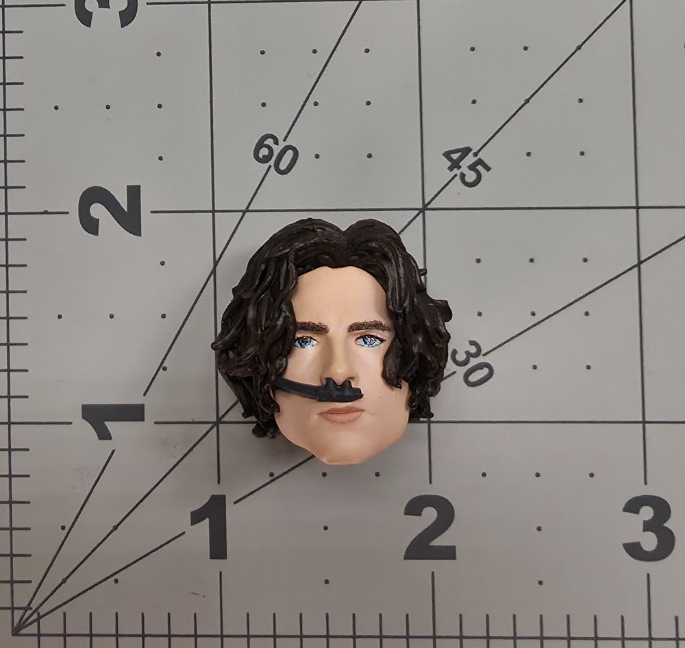 McFarlane Dune Paul Atreides Male Head Timothee 7″ DC Custom Fodder Parts