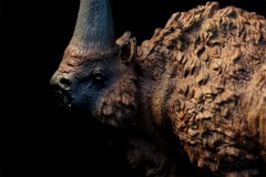 TNG Elasmotherium Sibiricum Model Huge Rhinos Animal Figure Decor Xmas Gift