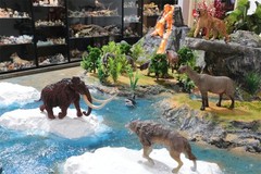 Earth Story Mammonteus Primigenius Model Elephant Animal Figure Xmas Gift