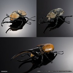 The Diversity of Life on Earth Advance Beetle 04 w/ stands Online version Bandai