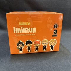 EAKI Haikyu!! Mascot Series Plush Keychains Blind Box NEW SEALED