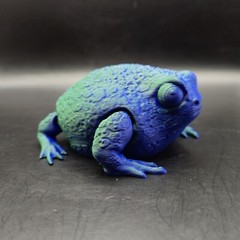 Rain Frog Articulated Figure 3D Printed Collectable Multi Color