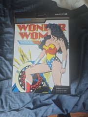 McFarlane DC Classics Multiverse Collector Wonder Woman Platinum Rare In Hand