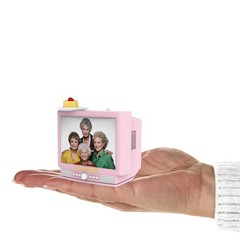 Hallmark Keepsake Christmas Ornament 2024, The Golden Girls Cheesecake Break Wit