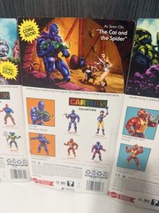Mattel MOTU Teela Webstor Clawful Cartoon Collection Masters Of The Universe