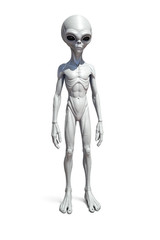 Grey Alien Figure 22cm Area 51 UFO Sci-Fi Statue 3D Statue Hand Painted