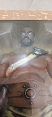 Xesray Studio Combatants Fight For Glory GLADIATOR TRAINEE B Gold 1:12 Figure