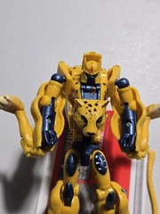 Transformers Universe Cheetor Deluxe Class Classics Action Figure