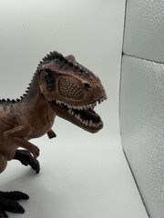 4.1 x 7.9 x 7.1 inch The Giganotosaurus