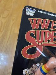 2026 WWE LJN Superstars ULTIMATE WARRIOR Chase BLACK CARD – IN HAND