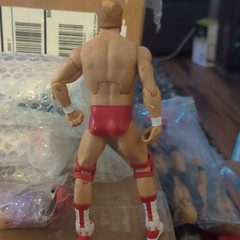 wwe ARN ANDERSON ELITE SERIES HALL OF FAME figure MATTEL wrestling