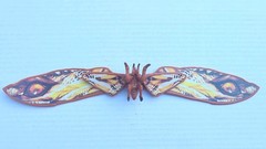 MonsterVerse Godzilla x Kong: The New Empire 6Inch MOTHRA Action Figure