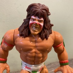 WWF Hasbro The Ultimate Warrior Titan Sports Wrestling Series 2 Action Works