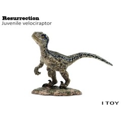 ITOY Juvenile Velociraptor Figure with Base Collections Dinosaur Model Gift Toys