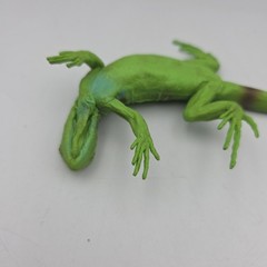 Safari Ltd. Iguana Baby (ca. 30 cm ) 1997