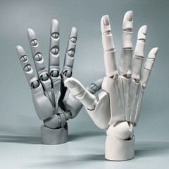 1:1 Hand Model Sculptures Movable Finger Joint Anime Painting Element Art Tool