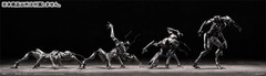 PSL SEXYiCE Vermin: Artificial Evolution B006 Ant 1/12 from JAPAN PRE ORDER