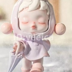 Skullpanda The Warmth Series Figure Blind Box Confirmed Gift Toys