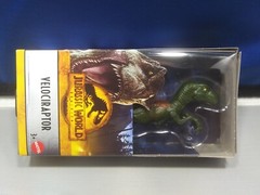 Jurassic World Dominion Velociraptor 6 inch Dinosaur Figure Mattel Ages 3 & Up