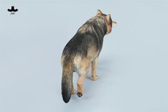 JXK 1/6 Common Gray Wolf Model Collections Animal Figure Decor Toys Xmas Gift