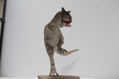 MEMORY MUSEUM 1/15 Carnotaurus Limited Edition Dinosaur Model Figure Toys Gift