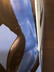 DC Collectibles Designer Series: Nightwing by Jim Lee Statue, #1181 of 5000