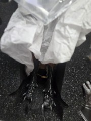Lucifer Cold inter Wolf Action Figure 1/6 NIB LXF2208A