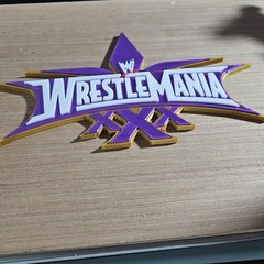 WWE Mattel WrestleMania 30 Logo Accessory