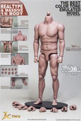 JXToys 1/6 Male Strong Durable Muscular Body S02 12″ Figure Fit Hot Toys Head