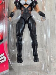 WWE Natalya Divas 2015 Mattel with packaging