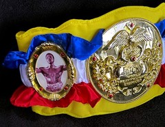 ROCKY WBC TITLE BELT • LIFESIZE REPLICA • ROCKY JAKKS BELT