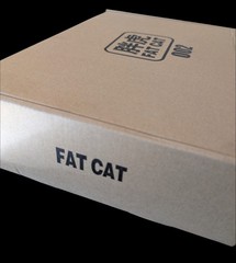 US STOCK Fat Cat 1/100 Upscaled RG God Gundm New Model Kit