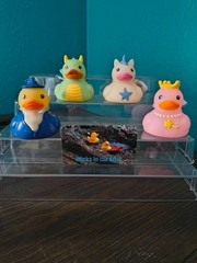 Target Rubber Ducks – 16 Variations – Pick Which One You Want