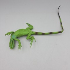 Safari Ltd. Iguana Baby (ca. 30 cm ) 1997