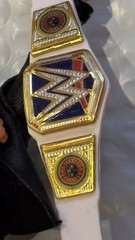 Fully customized wwe mattel elite “the man” Becky lynch Becky 2 belts figure
