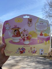 Whisker Haven Palace Pets Rouge Beauty & Bliss Play Set – SEALED!
