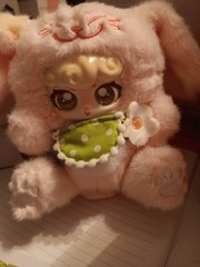 Ciaoka. Super Lamb-Lucky Meow Series. Opened Blind Box