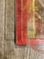 1983 Vintage Masters of the Universe Teela MOTU MOC Sealed + Figure Shield Case