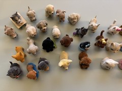 Kitty Puppy Zoo In My Pocket Assorted 34 Flocked Figures Used