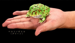 Horned Frog Figure Set of 4 Complete Bandai Creature Encyclopedia Capsule Toy