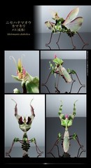 The Diversity of Life on Earth Advance Devil’s Flower Mantis Figure Bandai Gasha