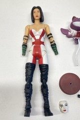 Shocker Toys Kabuki Assassin Figure Broken With Some Accessories Maxx Series