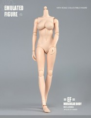 US STOCK 1:6 Large Breast Flexible Pale Body 12″ Female Action Figure Model Doll