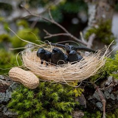 Whimsical Black Crow Figure Set | Perfect Housewarming Gift for All Ages