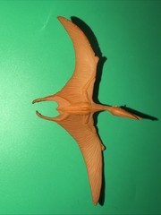 CollectA Realistic Animal Replica Pteranodon Figure for Ages 3 Years and Up