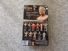 JAKKS Pacific WWE / WWF Classic Superstars DIAMOND DALLAS PAGE