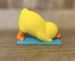 Yoga Duck – Downward Duck – Ducking – Cruises – Collectibles