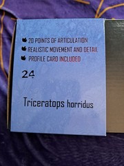 1/18th Scale Beasts Of The Mesozoic Triceratops Horridus Adult NEW
