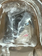 ThreeA Popbot Tomorrow Queens: Princess TQ (Reinforcements/Bk Ver.) 2011 NOB